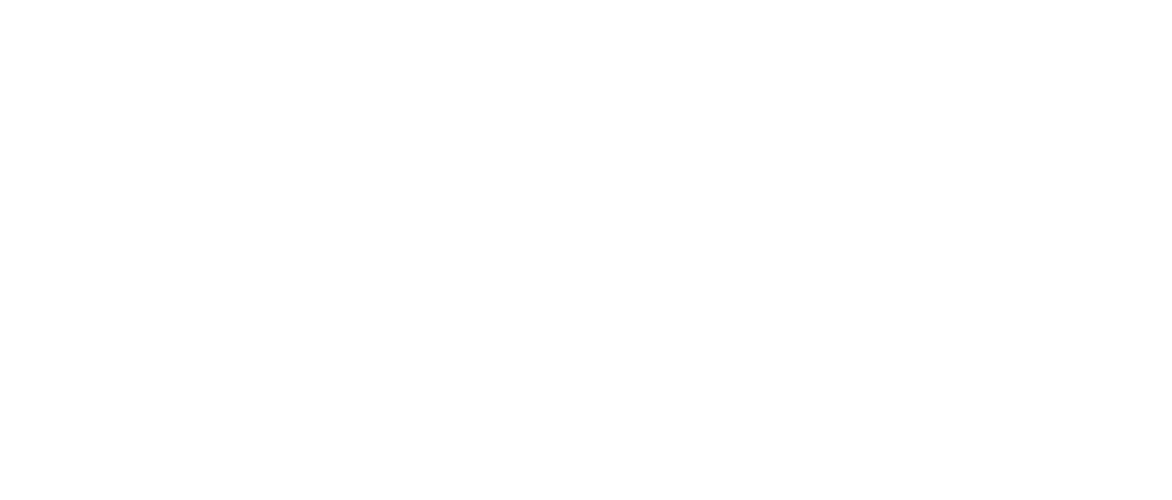 NEW LOGO FTP White